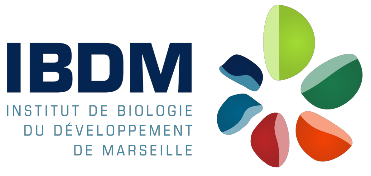 logo-ibdm-couleur