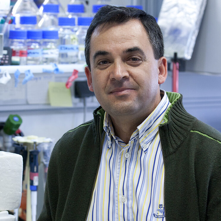 isidro-sanchez-garcia-investigador-del-ibsal. isidro-sanchez-garcia-investigador-del-ibsal.